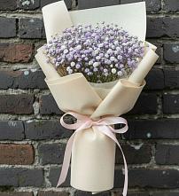 Букет цветов из:  Гипсофила в Пелагиаде