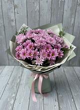 Букет цветов из:  Хризантемы в Пелагиаде