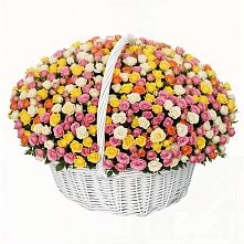 Премиум букет из: Розы в Пелагиаде