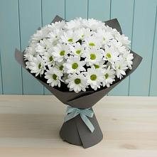 Букет цветов из:  Хризантемы #REPLACE_PRED# Пелагиаде