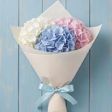 Букет цветов из:  Гортензия в Пелагиаде