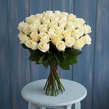 Букет 51 Белая роза Эдлесс Лав #REPLACE_PRED# Пелагиаде