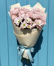 Букет цветов из:  Хризантемы в Пелагиаде