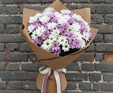 Букет цветов из:  Хризантемы в Пелагиаде