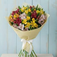 Букет цветов из:  Альстромерии в Пелагиаде