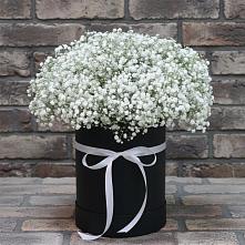 Цветочная композиция из Гипсофила в шляпной коробке в Пелагиаде