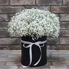Цветочная композиция из Гипсофила в шляпной коробке в Пелагиаде