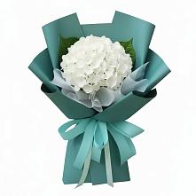 Букет цветов из:  Гортензия в Пелагиаде